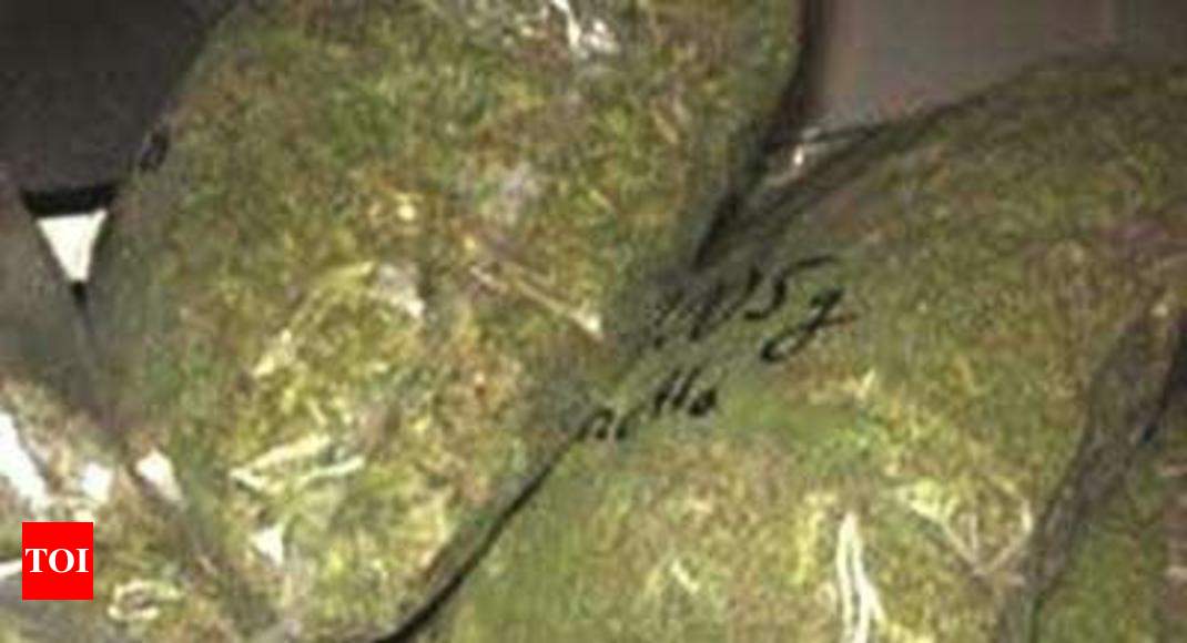 Ganja prices in state double since August | Patna News - Times of India