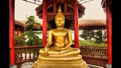 Bawankule delaying Buddhist theme park project: Ex-min Raut