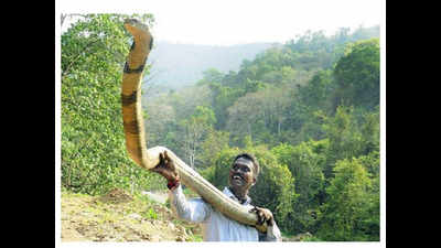 Snakes are misunderstood living beings: Vava Suresh