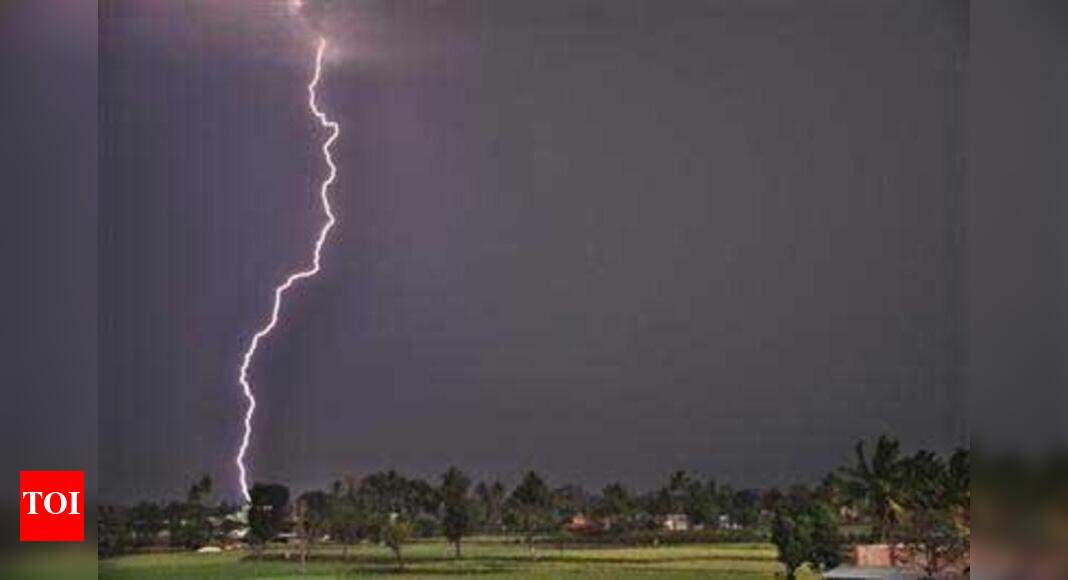 Lightning kills woman in Tamil Nadu Chennai News Times of India