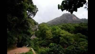 Forest department's eco-tour to famed Deewair on Oct 26