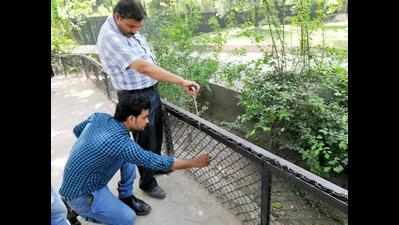 Bird flu scare: Alert in Bilaspur zoo