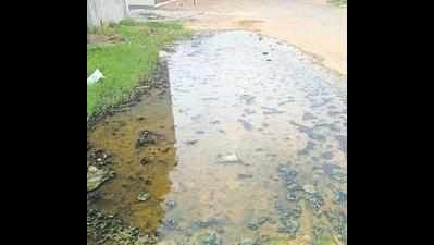 Overflowing sewers force residents to bear stink 24x7