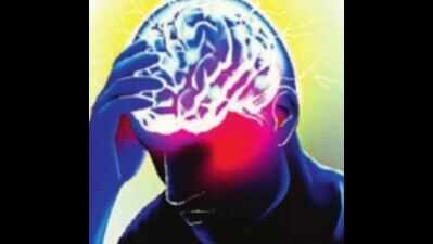 It's just paranoia, no science behind it, says experts | Bengaluru News ...