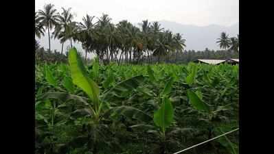 Goa launches scheme to boost organic farming in the state
