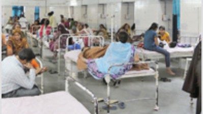 Dengue deaths: Ahmedabad Municipal Corporation in denial