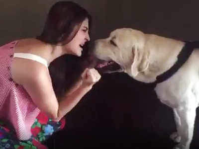 Anushka Sharma's dog's reaction to 'Bulleya' song is priceless