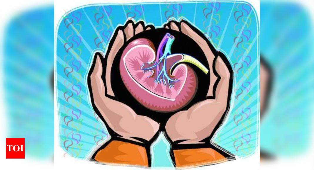 82-year-old-woman-s-kidneys-save-man-s-life-surat-news-times-of-india