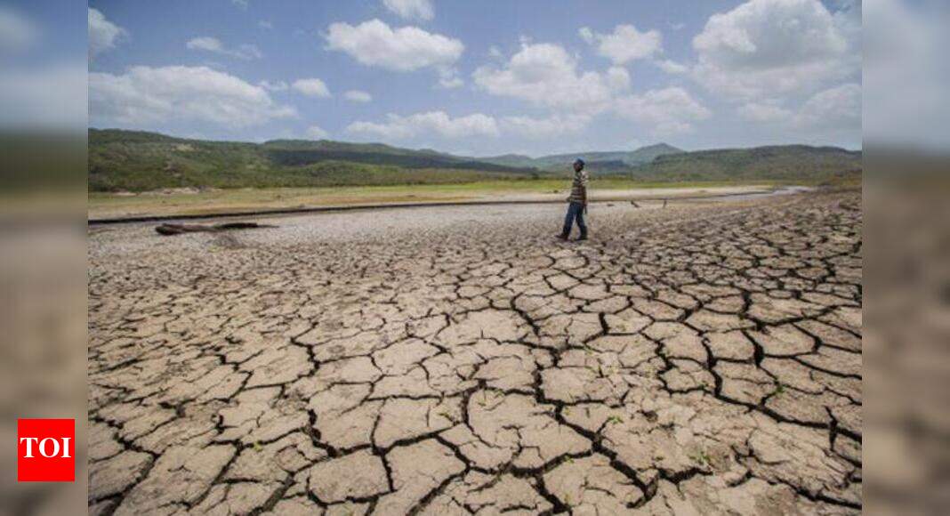 Kerala stares at severe drought | Thiruvananthapuram News - Times of India
