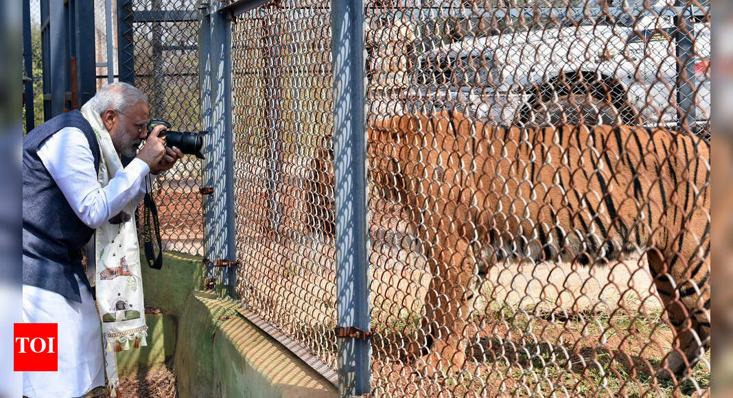 PM launches Jungle Safari in Naya Raipur Times of India