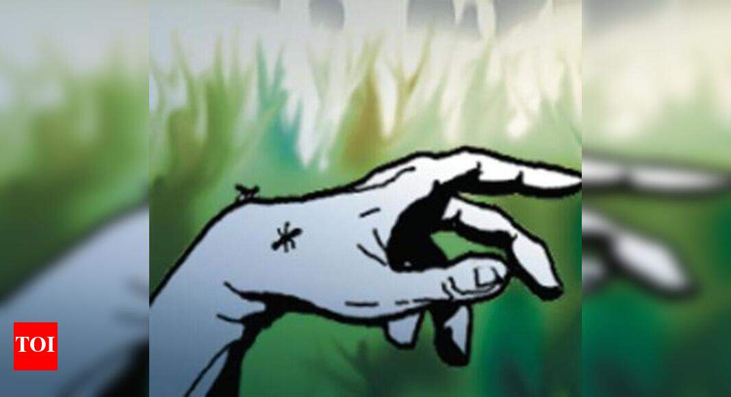 Severed body parts of woman found | Jaipur News - Times of India