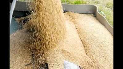 9 quintal of wheat meant for students stolen in Baran district