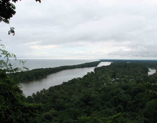 Tortuguero National Park