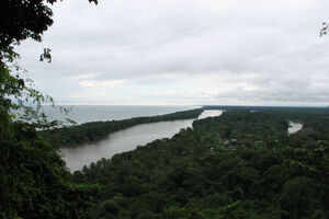 Tortuguero National Park