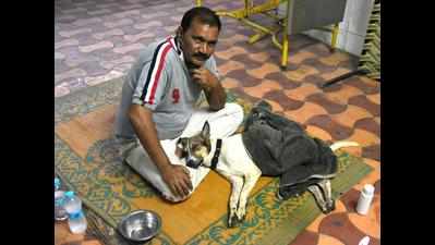 Man spends lakh on stray dog’s treatment