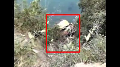 Himachal: 16 killed, 25 injured after bus falls into gorge