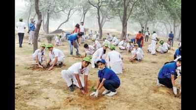 30,000 saplings planted in Delhi