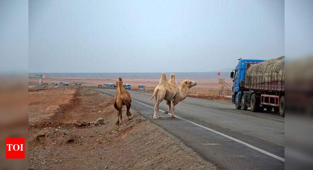 India-china silk road: International conference on "India ...