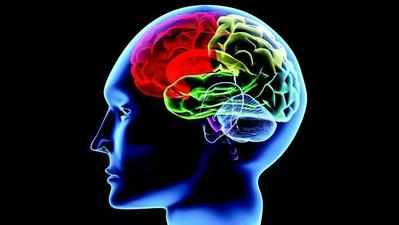 Removing part of brain can cure epilepsy: Doctors