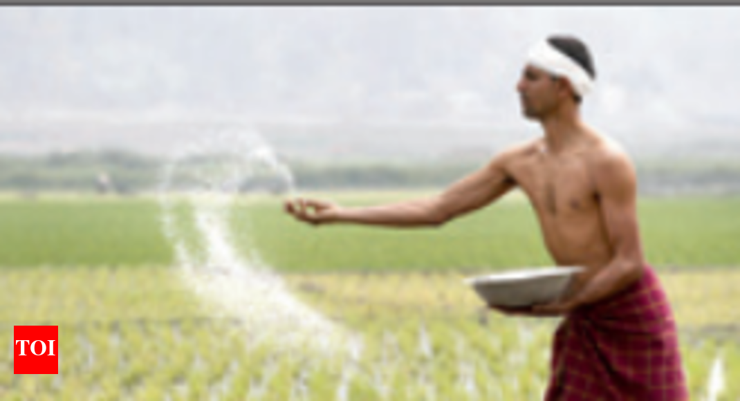 Forex traders in lucknow