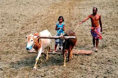 farmers farmer suicides party seems heading among government terms four states state any had ploughing problem land face trichy dmk