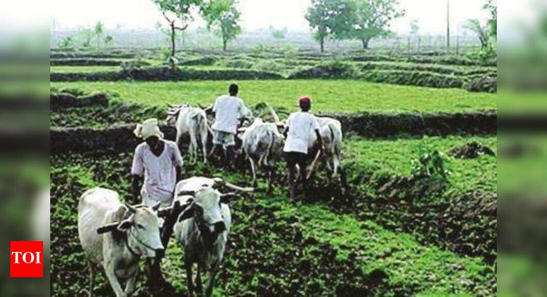 IITD shows how Punjab can reuse farm waste Delhi News Times of India