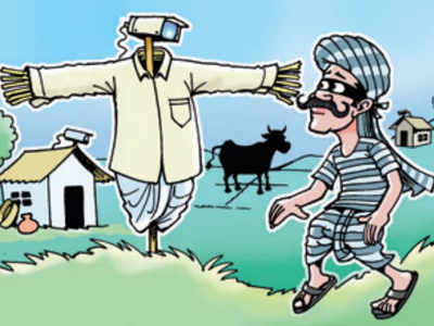 CCTV cameras act as ‘gau rakshaks’ in Haryana villages