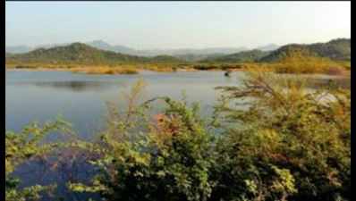 ‘Don’t use Kumbhalgarh sanctuary water to irrigate fields’