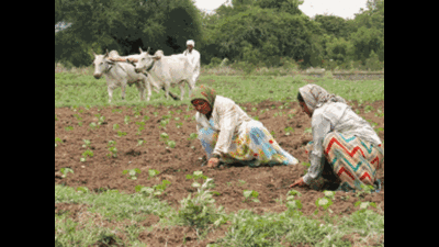 Farmers can’t cash in on bumper kharif crop