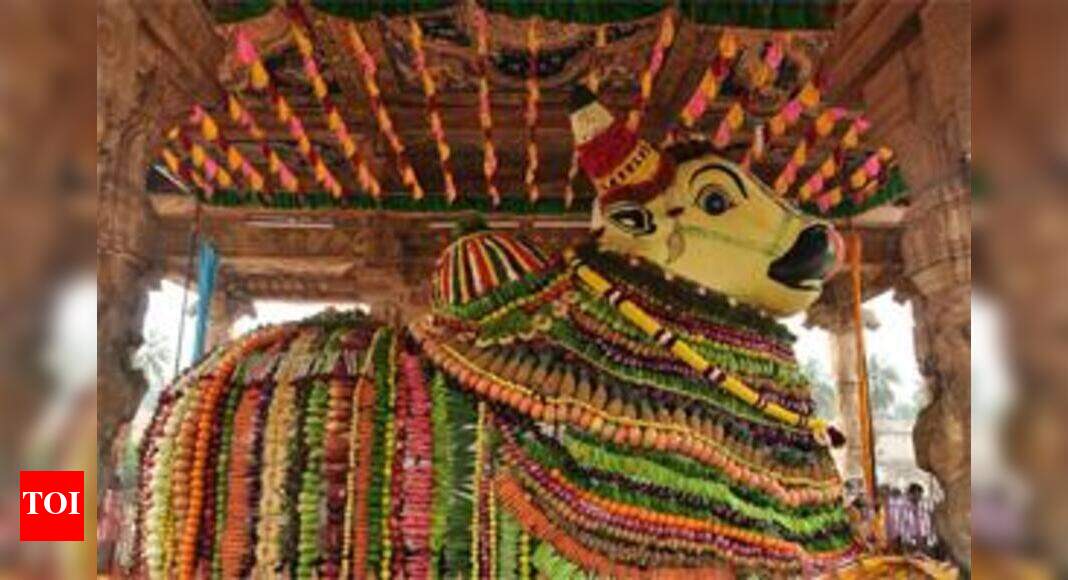 Smeared with colours, Nandi idol comes alive at Mahabhisheka fete