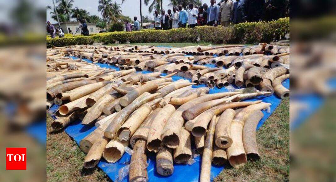 Now, you can buy affordable timber online through government's e