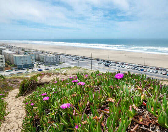 Ocean Beach