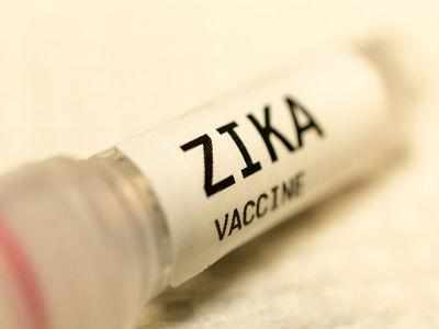 Novel tool to may lead to Zika vaccines