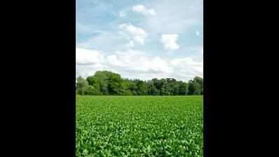 'Digital technology game changer in agriculture'