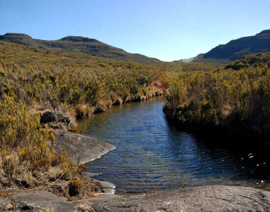 Parque Nacional Chirripo