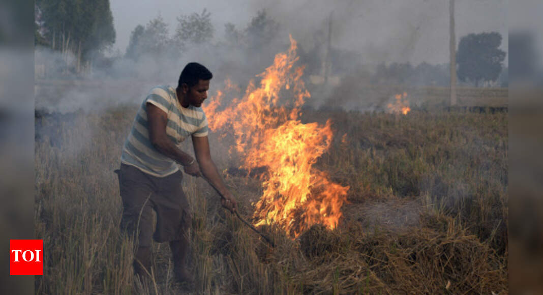 Essay any burning problem of india image