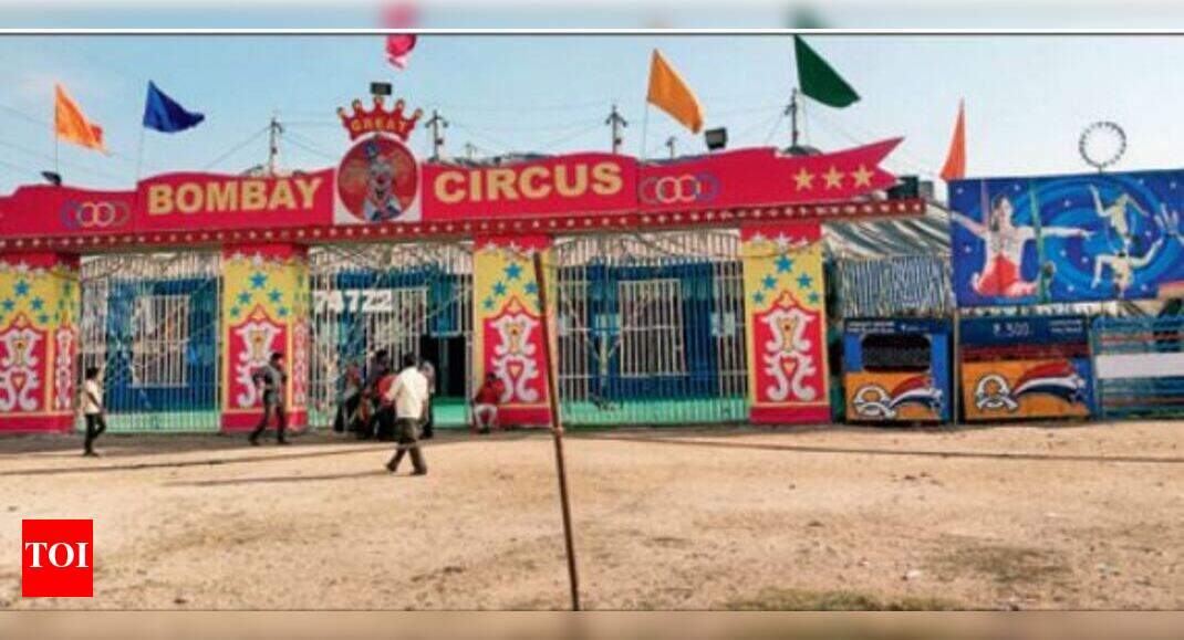 Great Bombay Circus They go in a circus for the act, but there's no