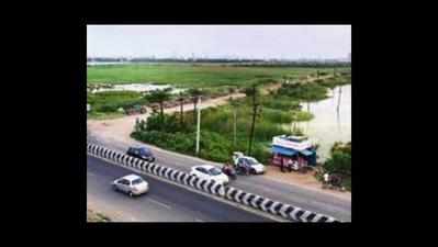 Flat promoter encroaches on marshland, lays road to building