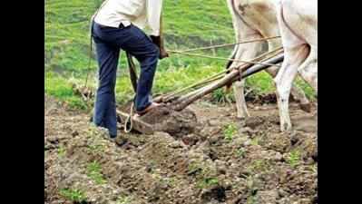 City's agricultural industry displays infra at CII Agro-Tech