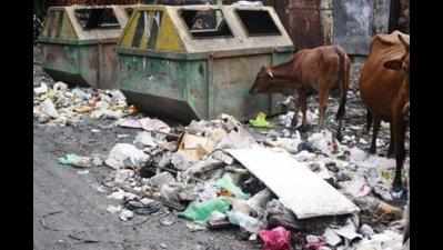 Garbage heaps lay waste to quality of life