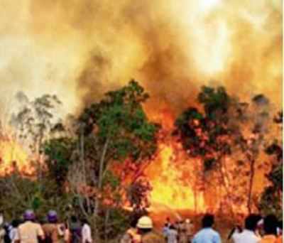 Forest fires return early in Seshachalam