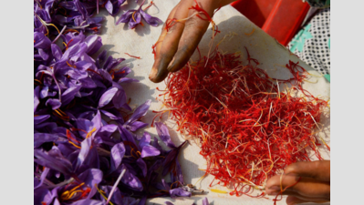 No cash, over 6,000 Uttarakhand flower growers in distress