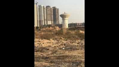 NGT summons Noida brass over waste burning
