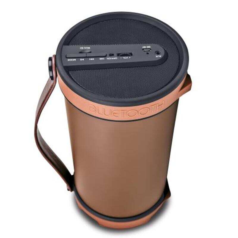 iball karaoke barrel with wireless mic price