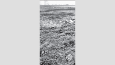Irrigation department officials visit ruined Daultabad farms