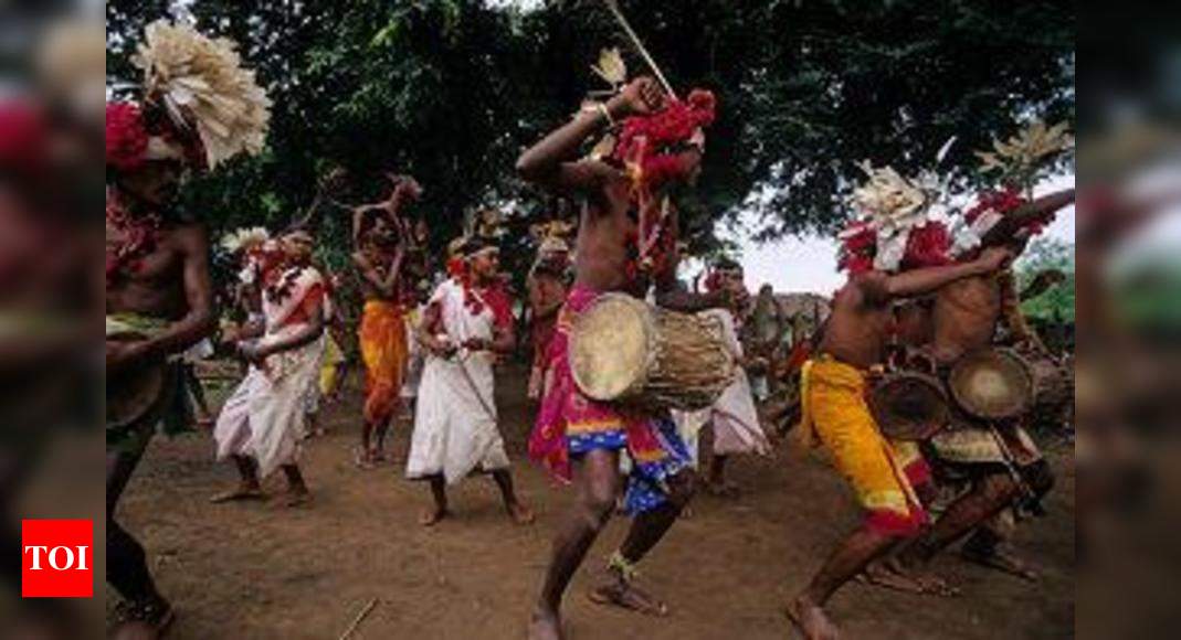 Tribals have a right to lead their own lives | Nagpur News - Times of India