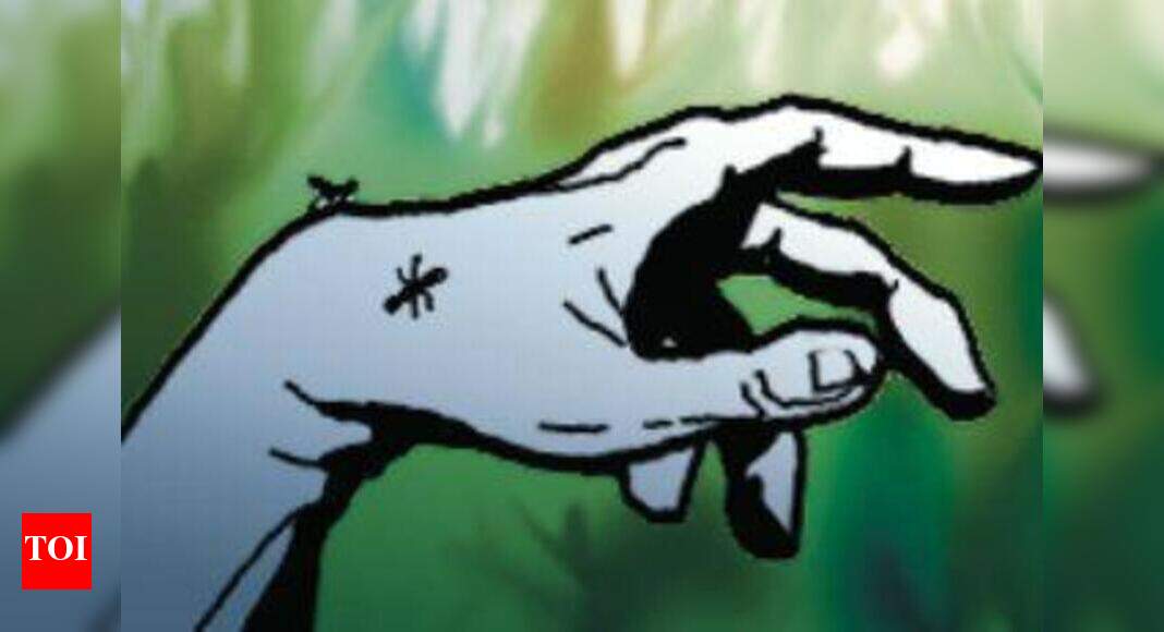 Real Estate Agent Real estate agent found dead with bullet wound Chandigarh News Times of India