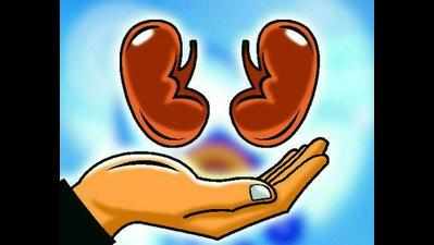 The market of unrelated Kidney donors