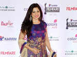 Karrm Filmfare Awards (Marathi): Red Carpet