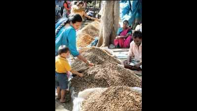 Peanut sellers, farmers reel under double whammy